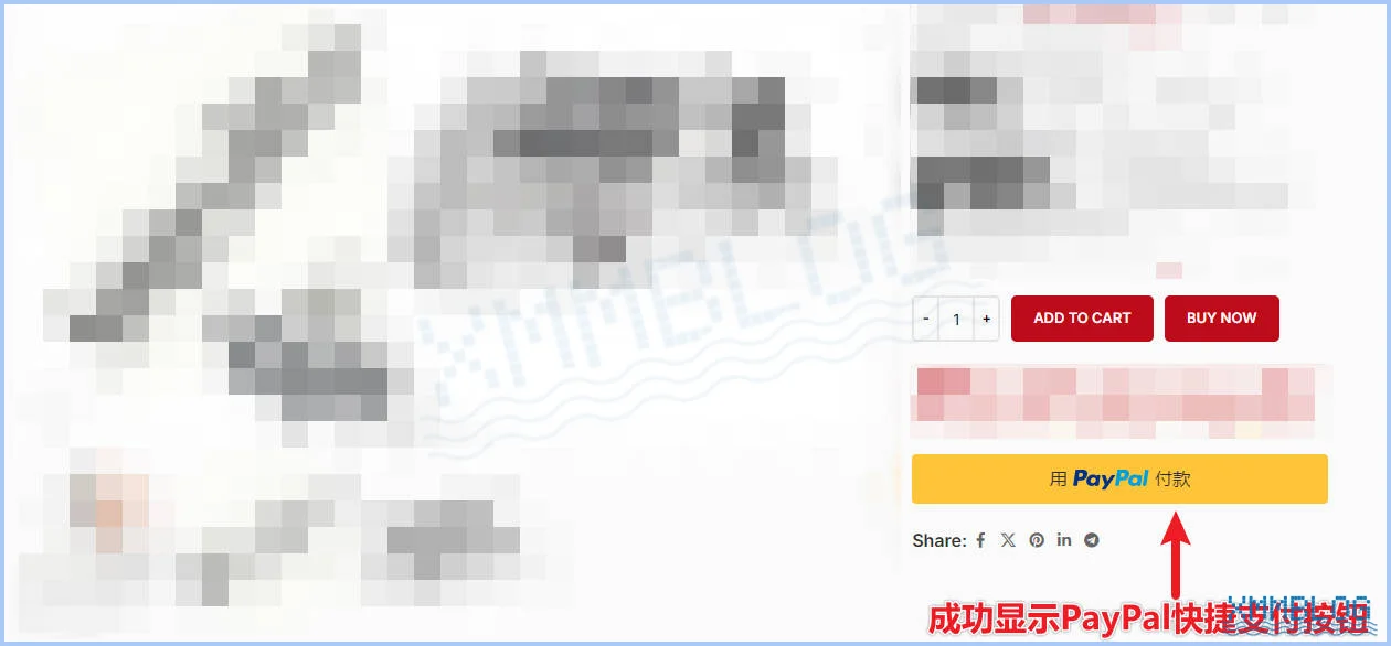 成功显示PayPal支付按钮